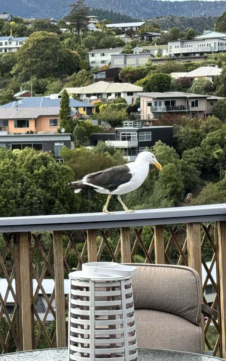 99 Princes Drive Britannia Heights_28