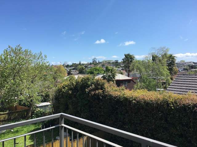 63a Drake Street Howick_3