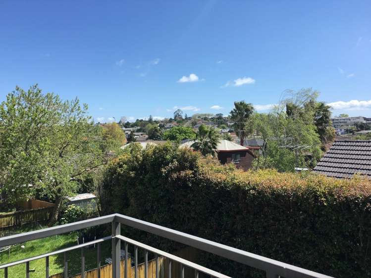 63a Drake Street Howick_3