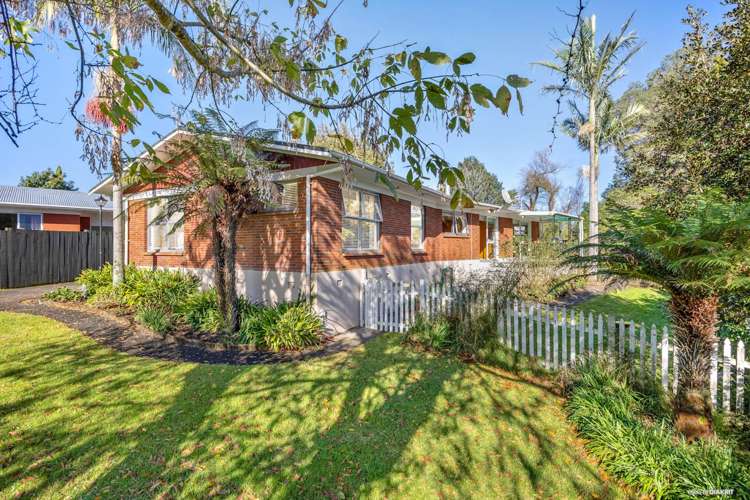 20 Childs Avenue Pukekohe_1