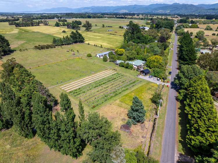 15 Havelock Road Havelock North_18