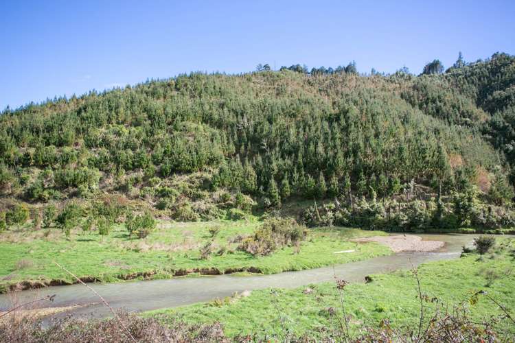 1753 Honikiwi Road Otorohanga_4