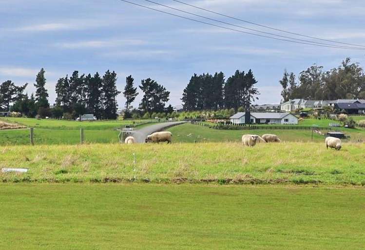 18 Pukeko Lane Oamaru_27