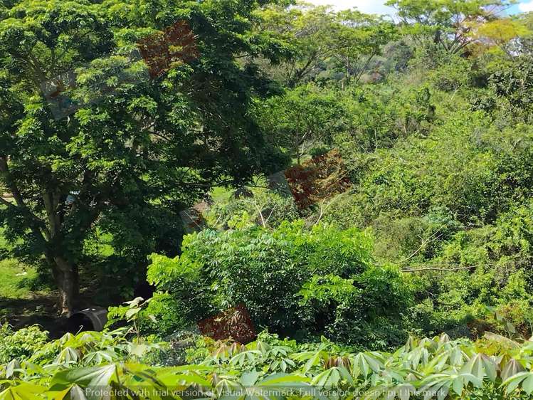 Address withheld Labasa_4