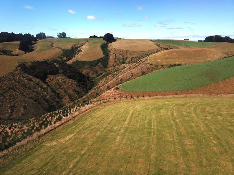 890 Mount Stuart Road Balclutha_13