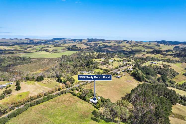 356 Shelly Beach Road South Head_25