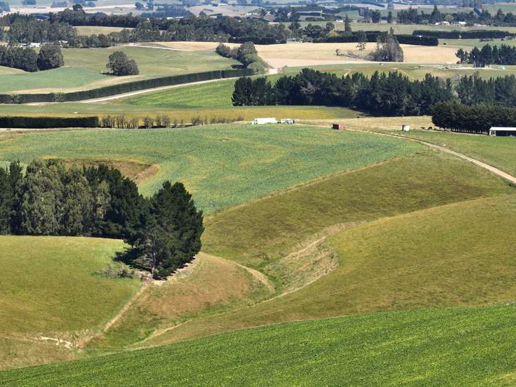 675 Black Bridge Road Ashley Downs_10