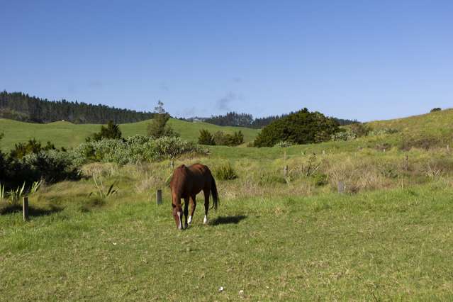 1238 Fern Flat Road Kaeo_4