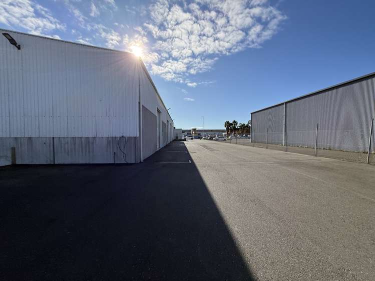 6 Macrae Avenue Mount Maunganui_9