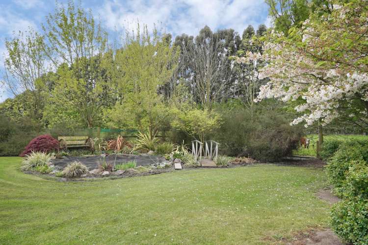 426 Collins Road Springston_14