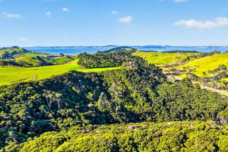 Lot 2/DP 320978 South Head Road Helensville_15