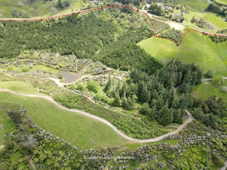 241 Work Road Aongatete_11