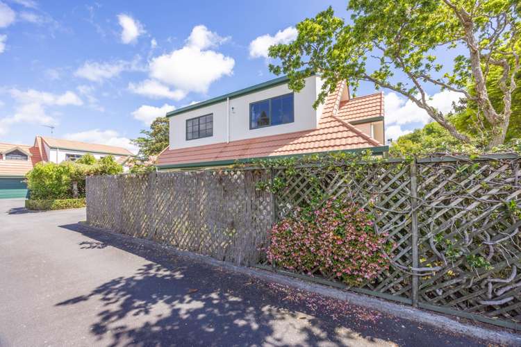 101B Clarence Street Hamilton Lake_3