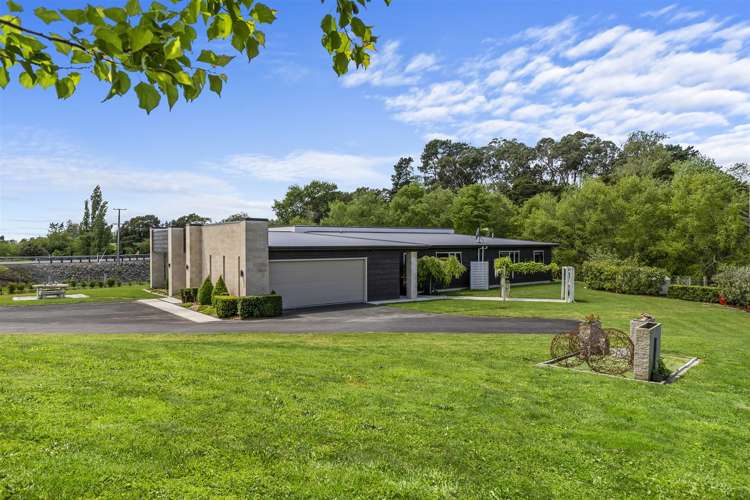 504 Thames Street Morrinsville_21