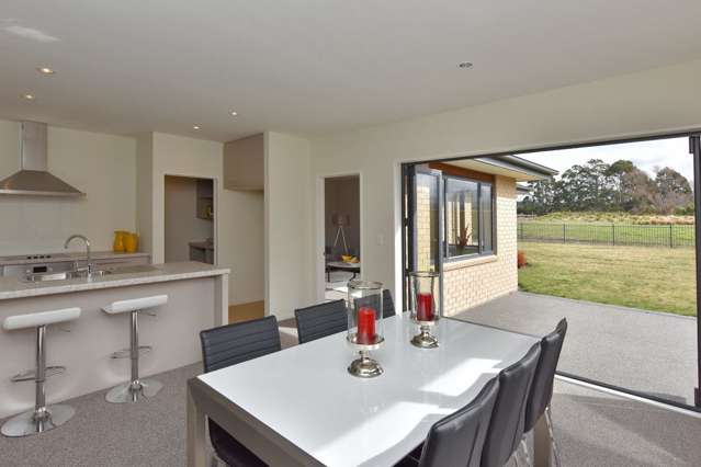 17 Pahua Street Pegasus_4