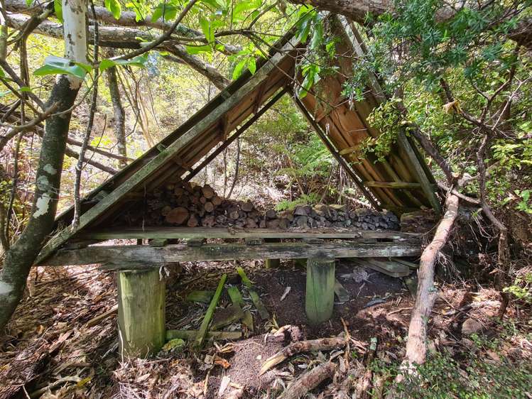 98 Kowhai Drive Coromandel_18