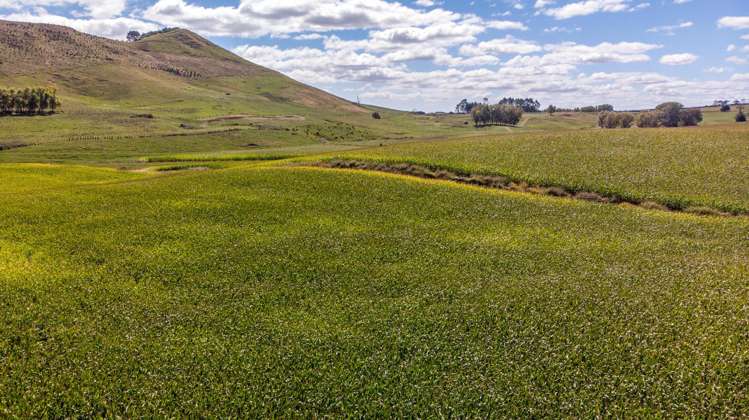 271 Cruickshank Road Tokanui_8