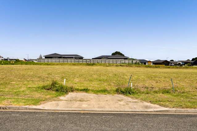 27 Customhouse Street Bell Block_4