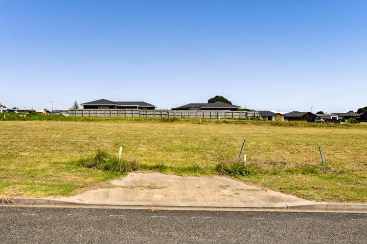 25 Customhouse Street Bell Block_6