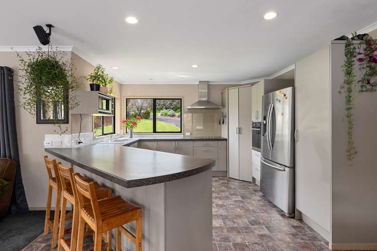 698d Whakamarama Road Whakamarama_7