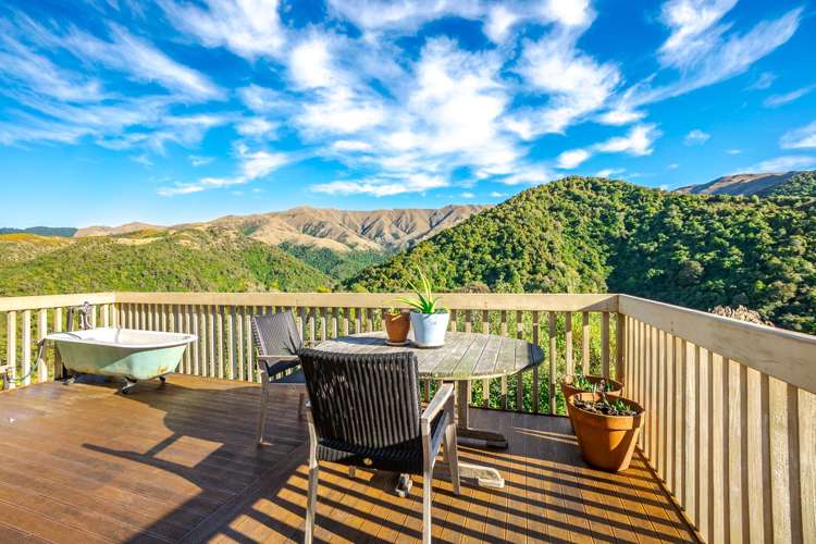 439 Engelbrechts Road Hunter_18