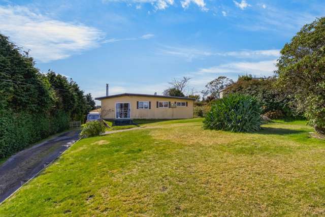 56 Elizabeth Street Tauhara_1