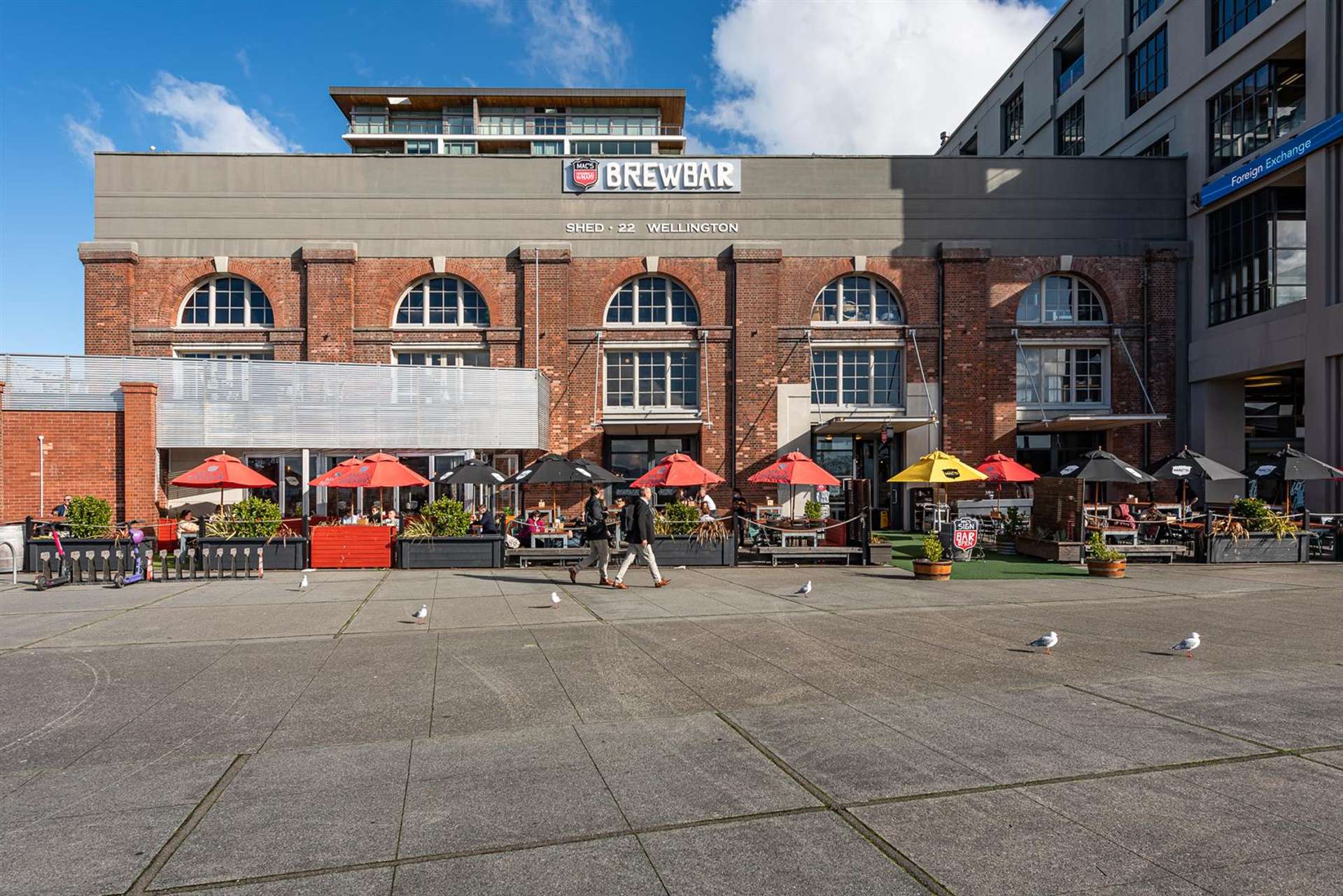 Mac's Brewbar, Shed 22, 23 Cable Street Wellington_0