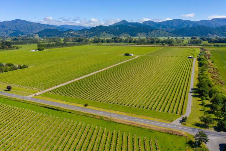 263 Chaytors Road Spring Creek_9