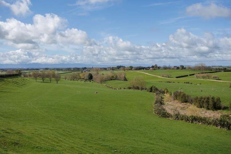 180 Cameron Road Morrinsville_19