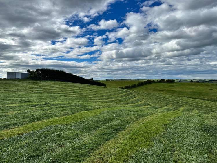 Pinnacle Road Gore Surrounds_8