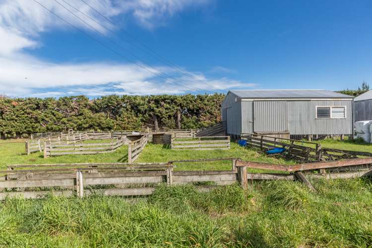 264 Greenpark Road Lincoln_23