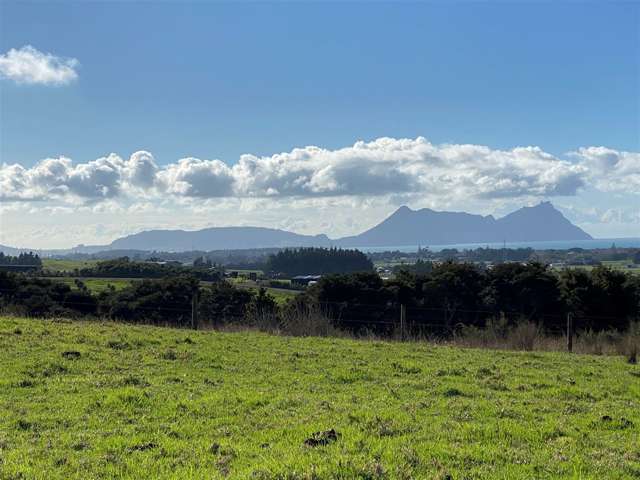 Lot 1 Ruakaka Ridge View Ruakaka_2