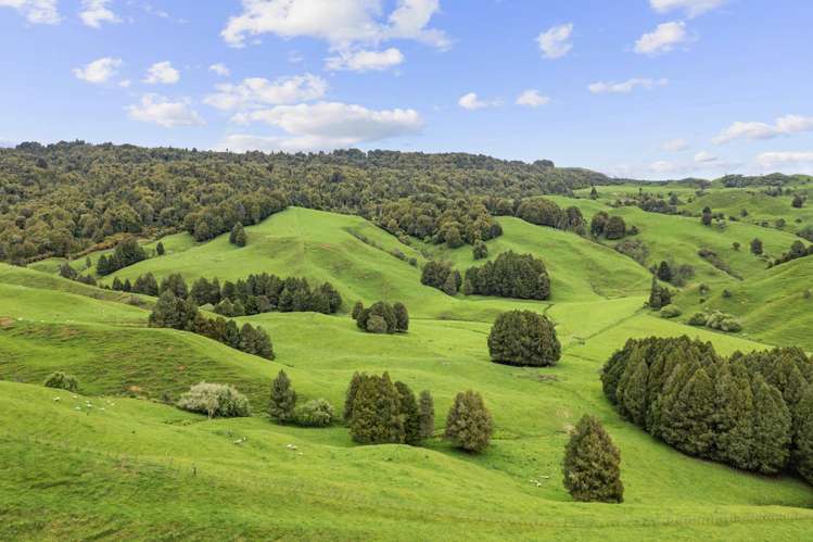 878 Mokauiti Road Aria_10