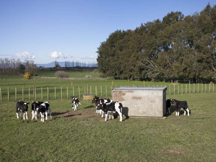 592 Morrinsville-Tahuna Road Morrinsville_15