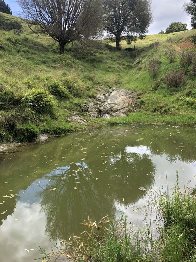 725 Golden Stairs Road Paparoa_2