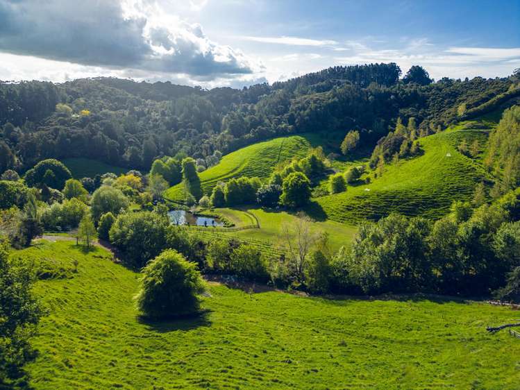 160A Twilight Road Clevedon_13