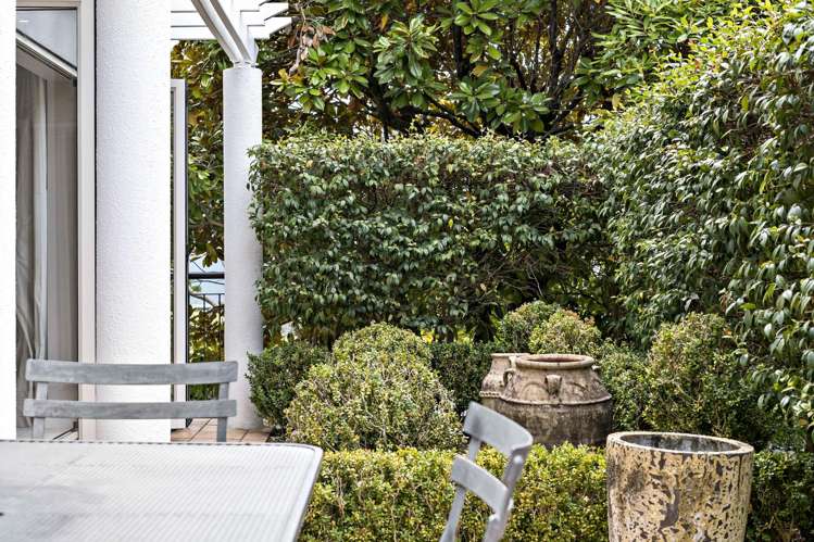 8 Joseph Banks Terrace Remuera_6