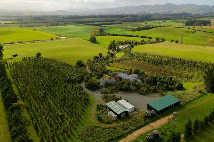 185 Sinclair Road Cheviot_31