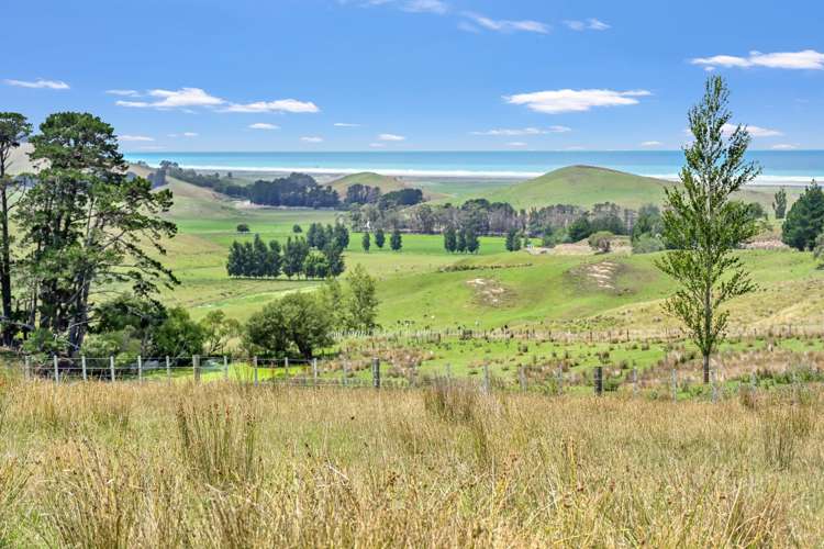 711 Blackhead Road Porangahau_24