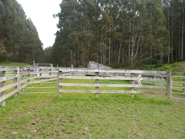 49 Wairata Road Waimahaka_4