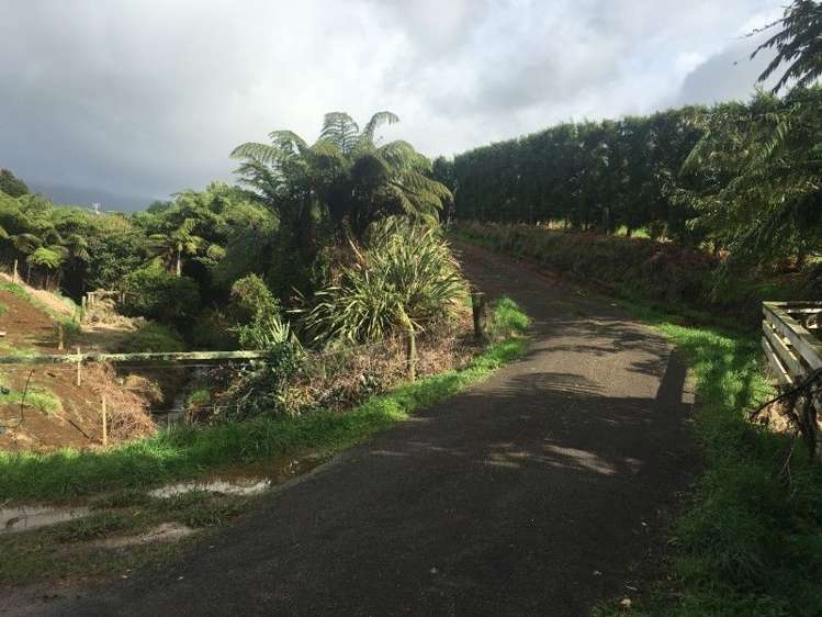 457 Kent Road Korito_13