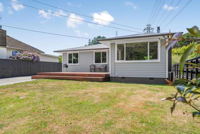 61 Black Beech Street Birchville_1