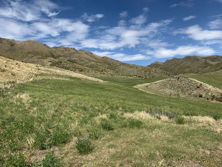 3570 Omarama-Otematata Road Otematata_13