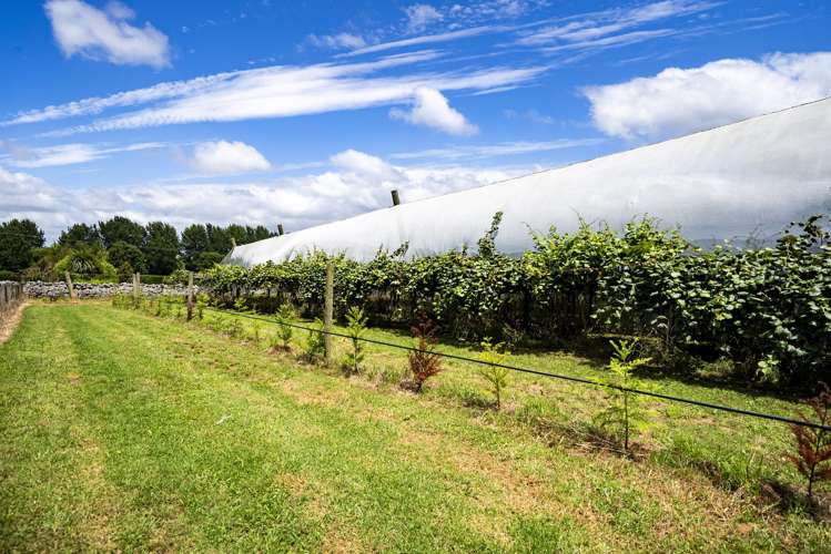 457 Whatitiri Road Poroti_10