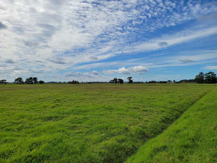 1919 Pouto Road Te Kopuru_17