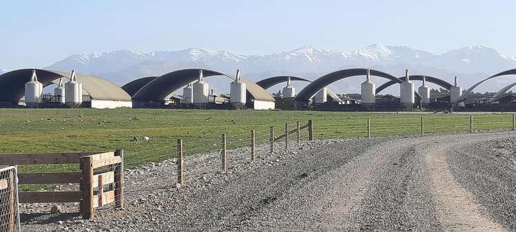 724 Medbury Road Hawarden_13