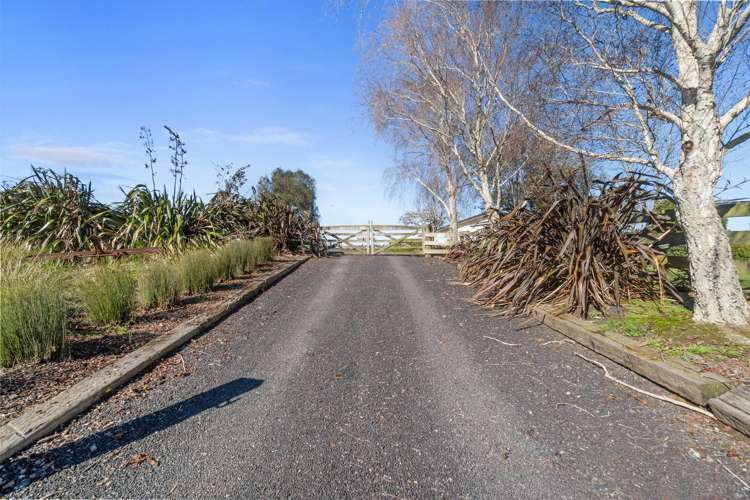 4 Black Road Te Kauwhata_22