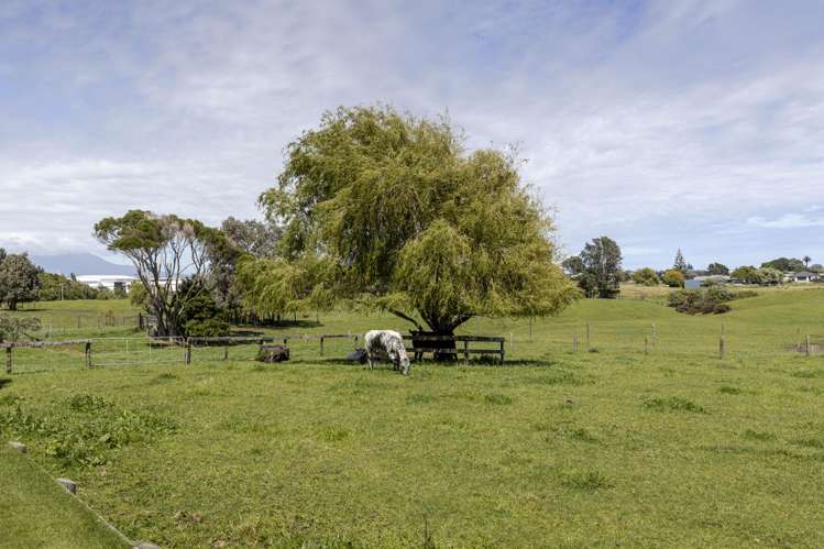 1179 Devon Road Bell Block_7