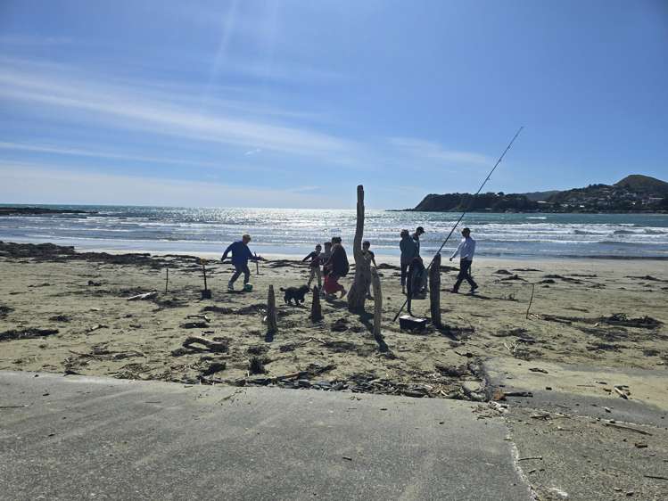 S7 and S8 South Beach Access Road Titahi Bay_7