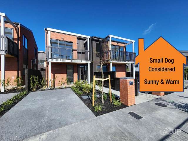 Westgate, 2 bedrooms, $650